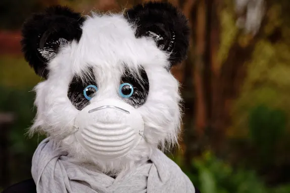 Cazino Mars Bet Cazinou Suport